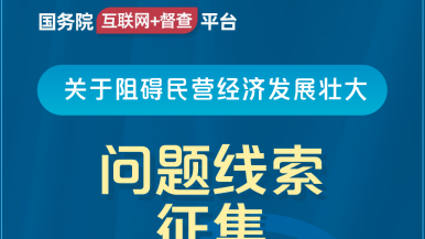 www.操鸡巴蜜.av国务院“互联网+督查”平台公开征集阻碍民营经济发展壮大问题线索